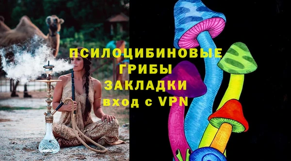амф Алексин