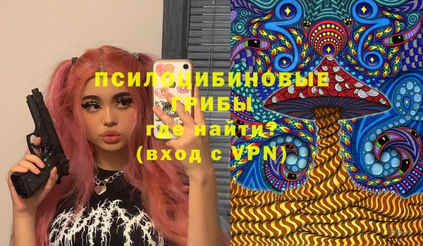 амф Алексин