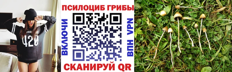 Псилоцибиновые грибы ЛСД  где найти   Белореченск 